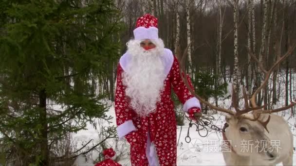 驯鹿和圣诞老人在松树林的祝贺相机上的孩子们