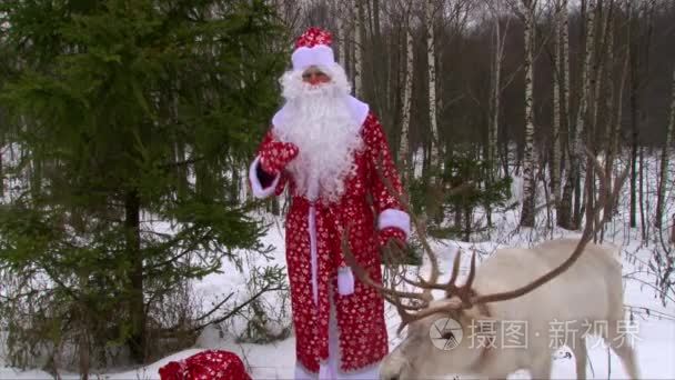 圣诞老人和驯鹿在冬季森林恭喜小朋友们在相机