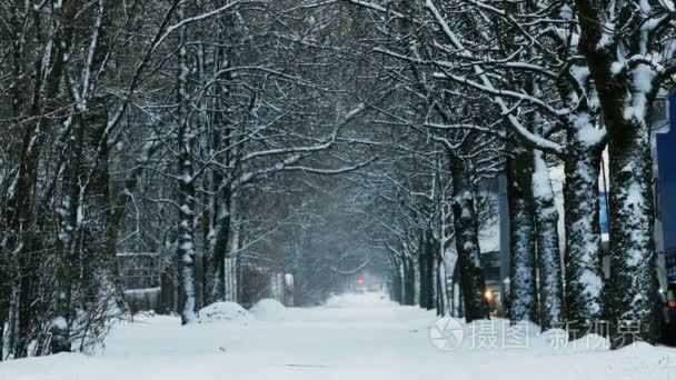 精美积雪大道视频