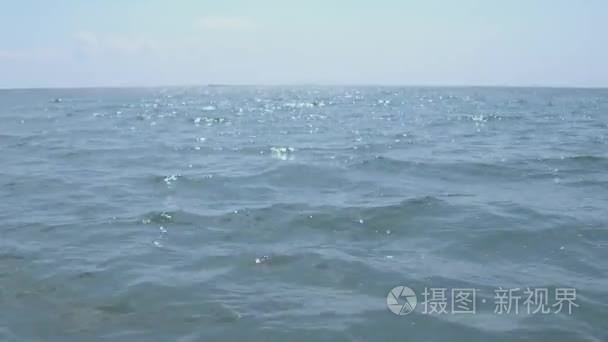 与飞翔的海鸟的海洋中视频