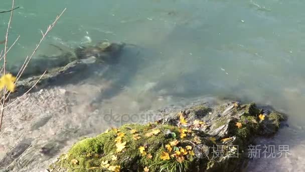 大石头，长青苔关于山区河流