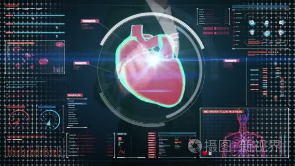 女商人触摸数字屏，扫描的心。人体的心血管系统。医疗技术