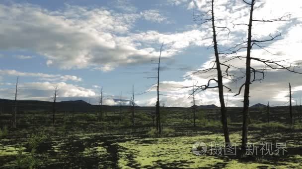 枯林附近火山素材视频视频