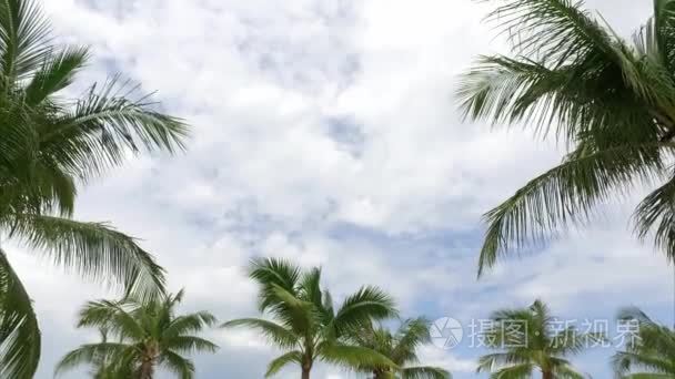 沙滩遮阳伞和棕榈树的视图