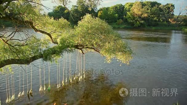 瓶与诗内河道水大地节视频