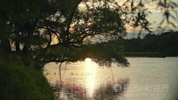 瓶与诗内河道水大地节视频