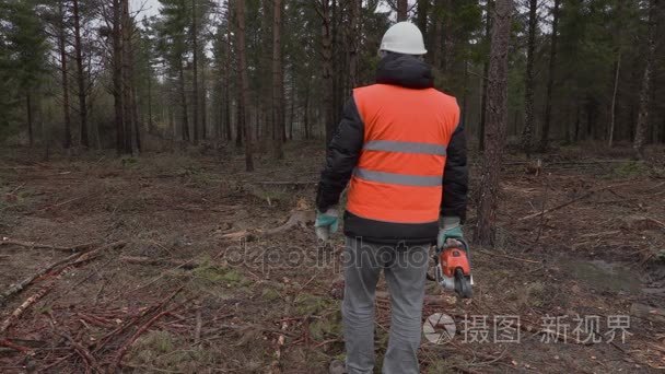 伐木工人在森林里说话视频