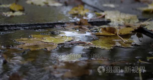 雨滴落在秋天的落叶与水坑视频