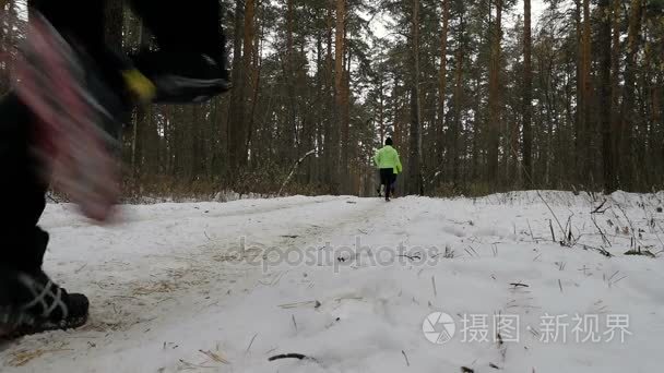 组的跑步运动员运行多雪的线索松林