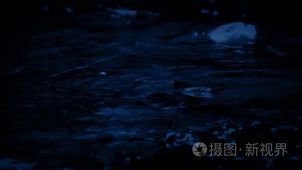 在夜间降雨浅森林水池视频