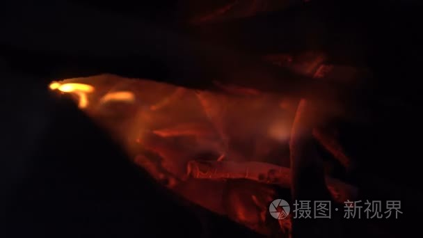 木制的分支和木柴烧在火中视频