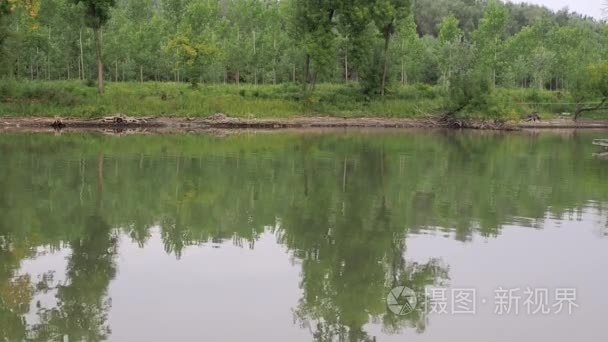 机动船漂浮到河边，荡漾着水，机动船跟踪，夏天，绿树