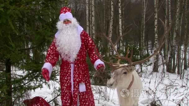 与大的鹿角驯鹿和圣诞老人祝贺冬季森林人 o 相机
