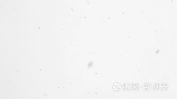 飘落的雪花反对视频