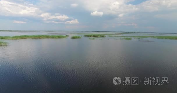 漏油事件与芦苇和野鸭岛宽的河视频