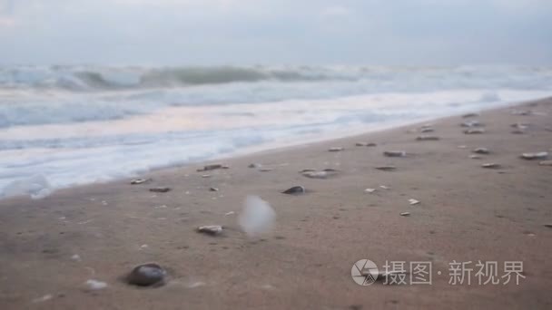 一场暴雨在海岸大浪视频