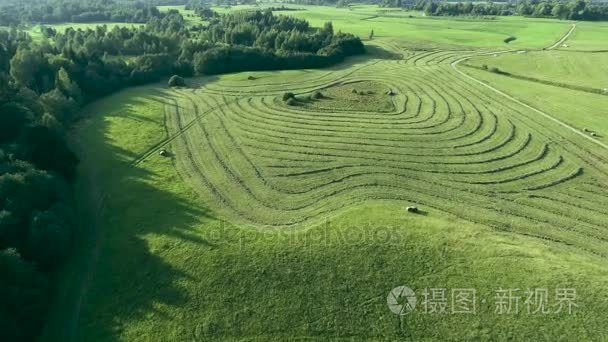 绿油油的草地鸟瞰图视频