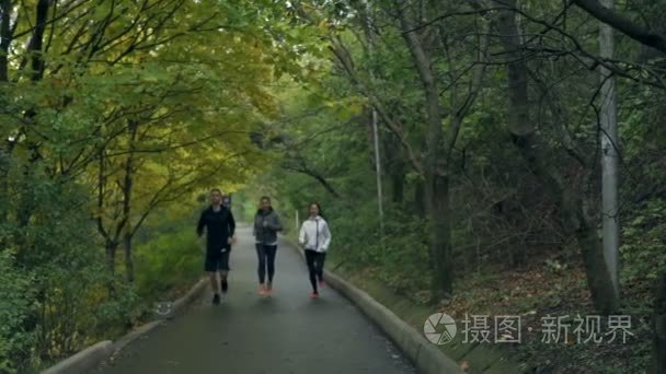 两个年轻人适合健康妇女及一名男子在公园慢动作慢跑