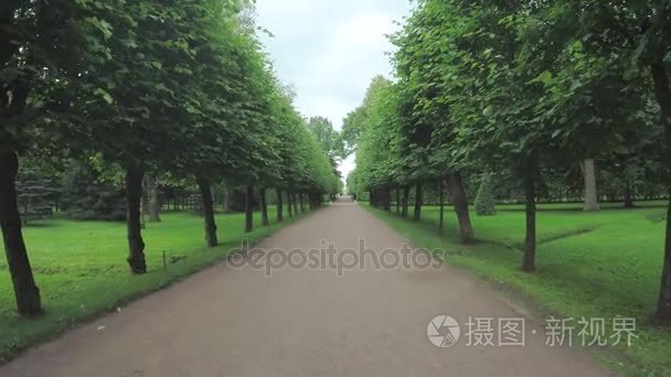 小巷里的彼得夏宫的公园视频