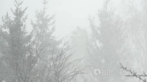 雪花飘落的冬季风暴