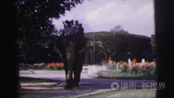 人骑大象视频