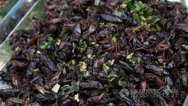 食用烤和调味饭甲虫。Bug 在泰国街头食品煎炸。油炸昆虫是泰国市场上的食物