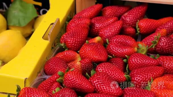 在市场上的新鲜草莓关闭