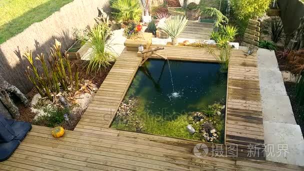 首页植物与反射视频素材