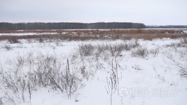 冬天的旷野的乾草雪中自然景观美丽背景