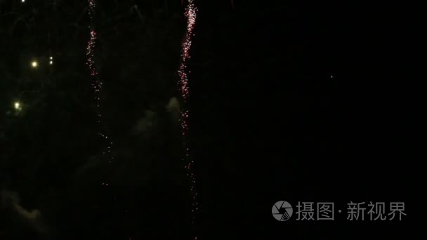 节日的烟花在夜空中视频