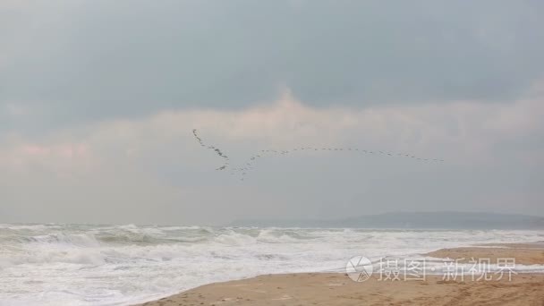 一场暴雨在海岸大浪视频