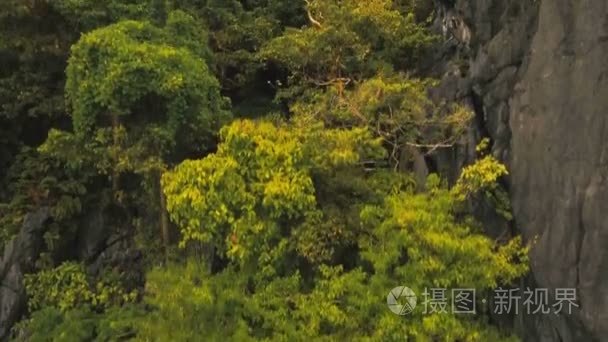 热带雨林中的山，鸟瞰图