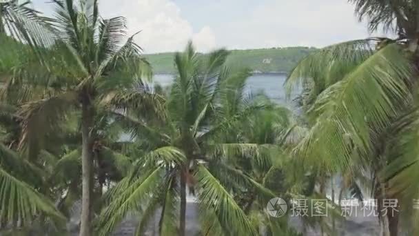 鸟瞰图的一处海滩上巴厘岛视频