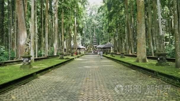 印尼巴厘岛上的猴子森林寺