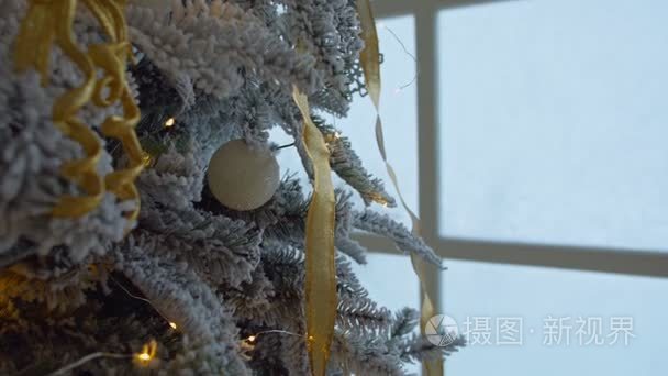 圣诞节装饰品与景灯树上