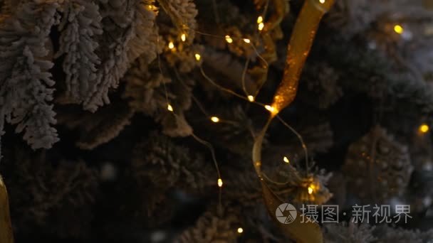圣诞节装饰品与景灯树上