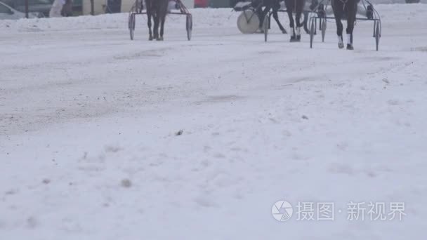 与车手在轮手推车比赛马腿热身在冬天的雪道上。4 k