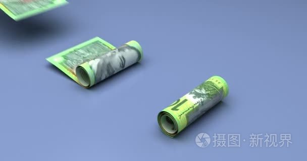 汽车金融与澳元