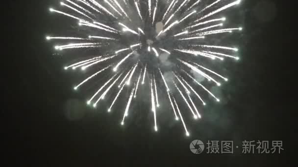 今年新年烟花在夜空上视频