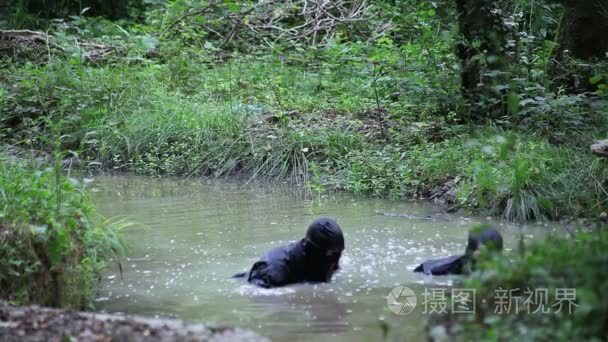 水下特种部队视频