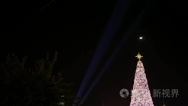 在夜里聚光灯照耀到树圣诞树灯视频
