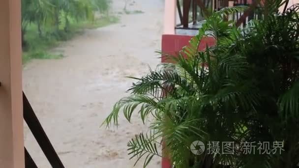 在街上在帕岸岛，泰国洪水和热带雨