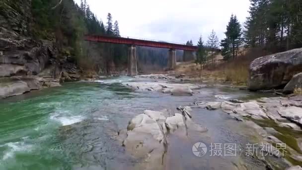 美丽的风景的河和喀尔巴阡桥视频