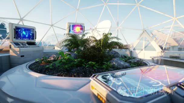 空间实验室 科幻的内政 火星外 星球上的生命 在空间中的植物mov格式视频下载 正版视频编号00yzn3 摄图新视界视频库