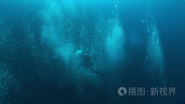 珊瑚生活水下视频视频