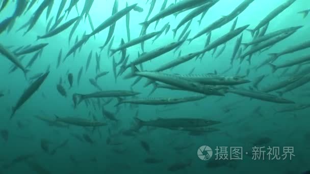 环礁湖和岛屿的海景视频