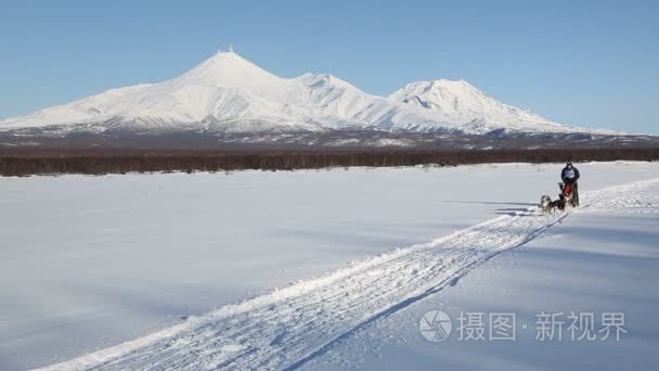 狗拉雪橇比赛背景的堪察加火山视频