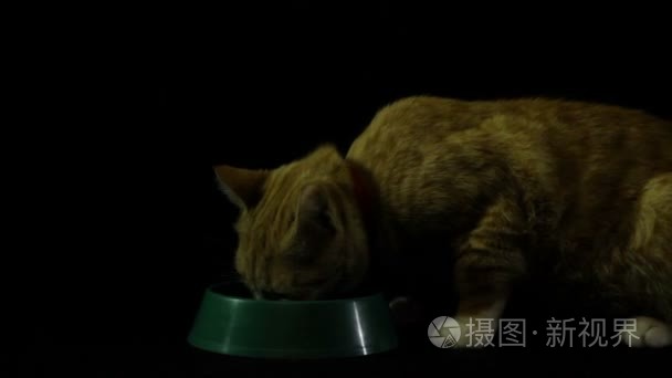 美丽和智能家居红猫视频