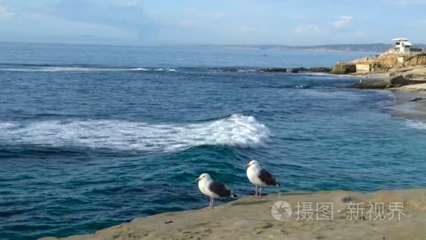 美国圣地亚哥风景如画海岸视频