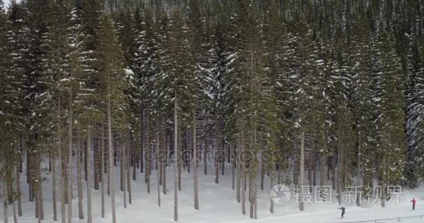 如诗如画的冬季自然景观视频